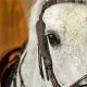 Dyon Blinkers Working by Dy\'on
